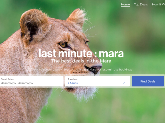 Design and development of the Last Minute Mara online portal