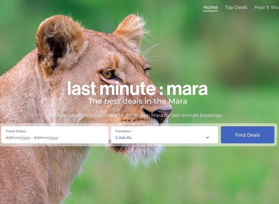 Design and development of the Last Minute Mara online portal