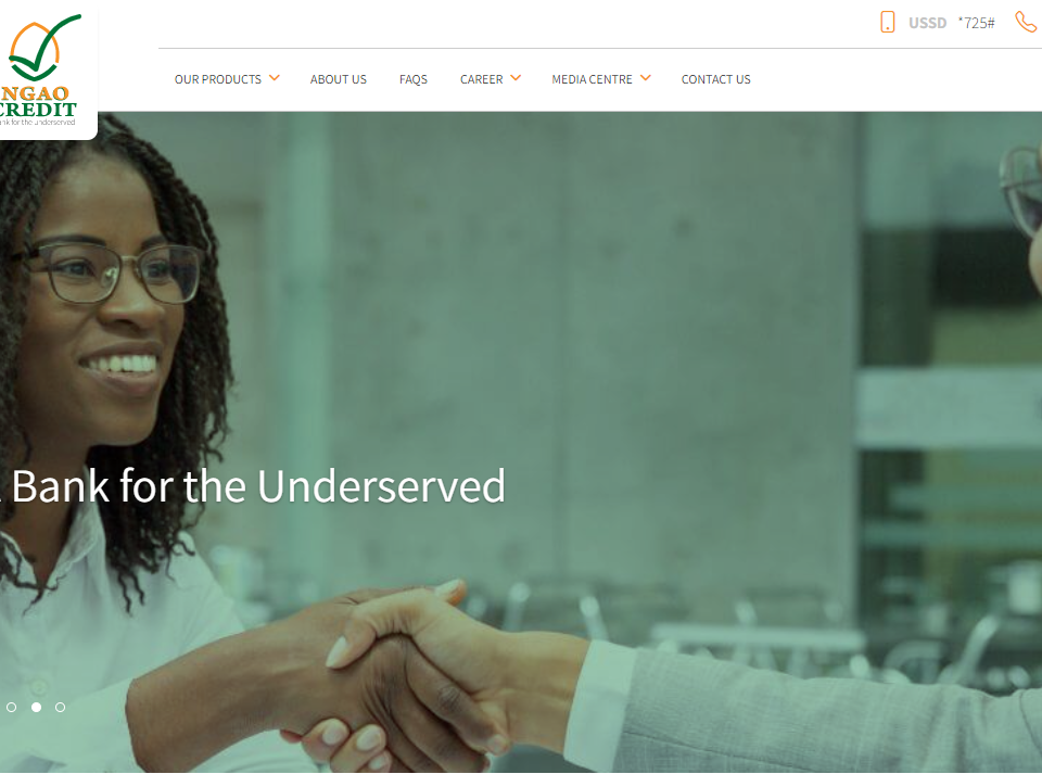 Design and development of website for Ngao Credit